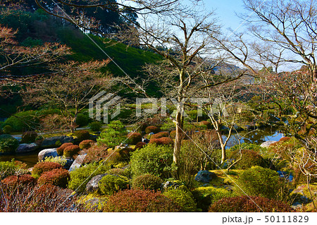 三室戸寺　庭園　与楽園 50111829