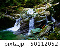 仁淀川上流 仁淀川上流 50112052