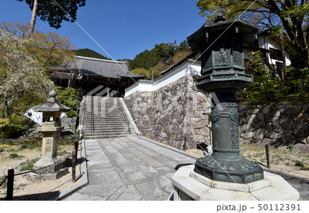 春の善峯寺　境内 50112391