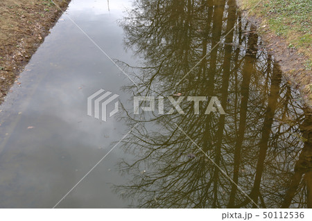 Reflection in a narrow river 50112536