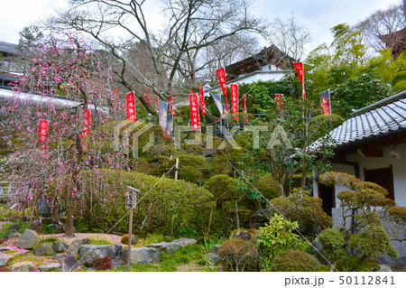 岡寺 西国三十三所観音第七番札所 岡寺 西国三十三所観音第七番札所 50112841
