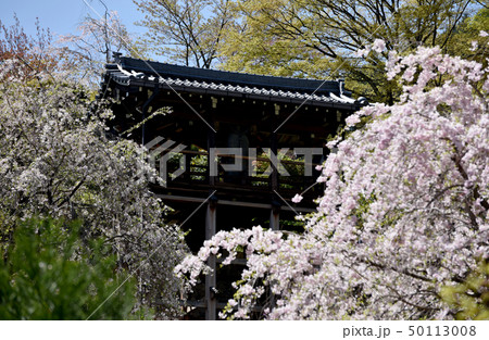 春の善峯寺 幸福地蔵 春の善峯寺 幸福地蔵 50113008