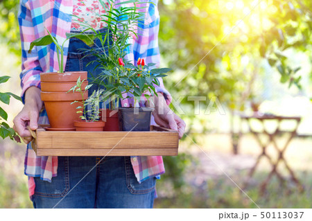 girl plants a plant girl plants a plant 50113037
