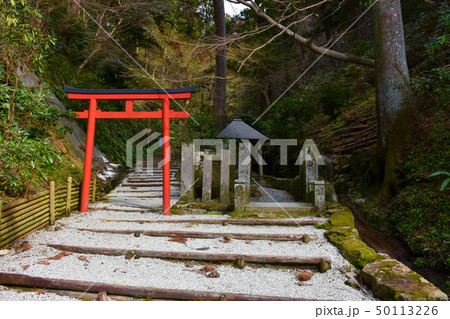 岡寺　奥之院　稲荷社　参道 50113226