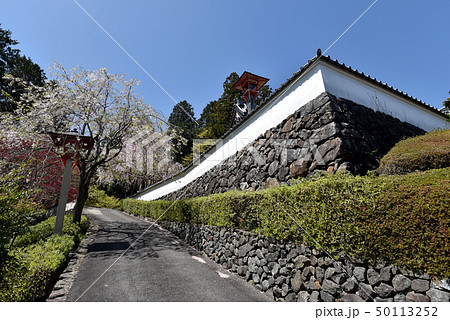 春の善峯寺 薬師堂 春の善峯寺 薬師堂 50113252