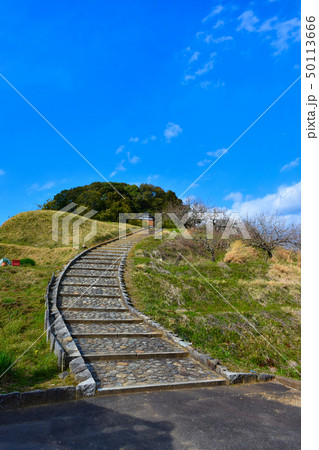 天武・持統天皇陵 参道 天武・持統天皇陵 参道 50113666