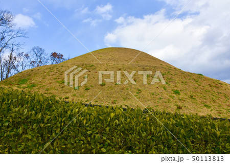 高松塚古墳 高松塚古墳 50113813