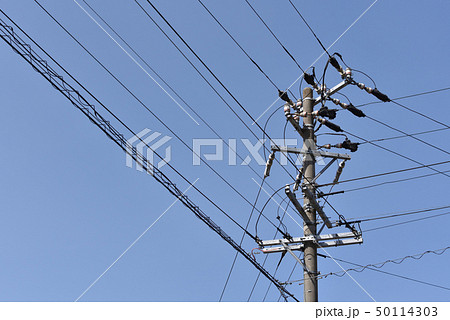 電柱 50114303