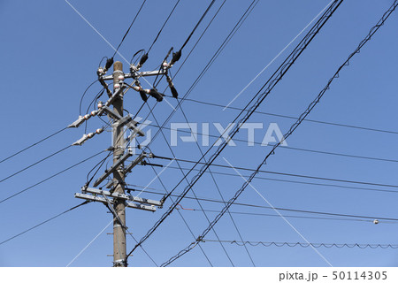 電柱 50114305
