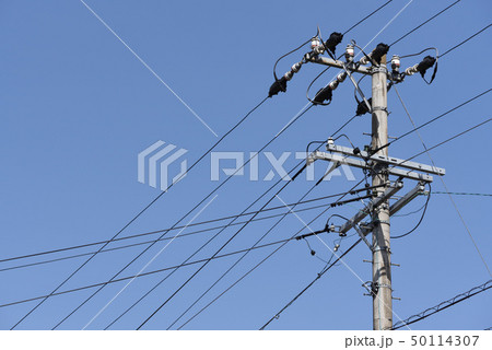 電柱 50114307