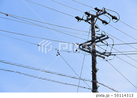 電柱 50114313