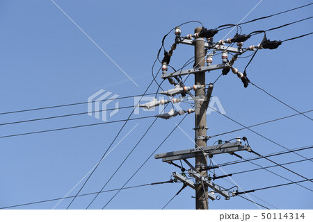 電柱 50114314