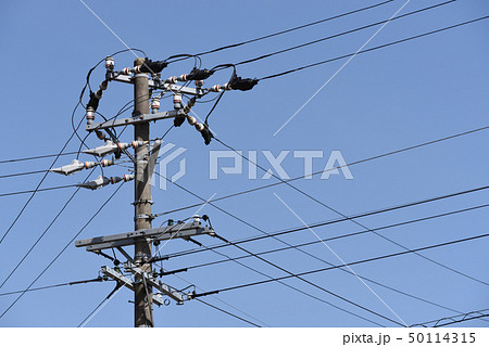 電柱 50114315