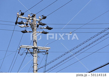 電柱 50114318