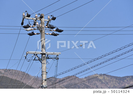 電柱 50114324