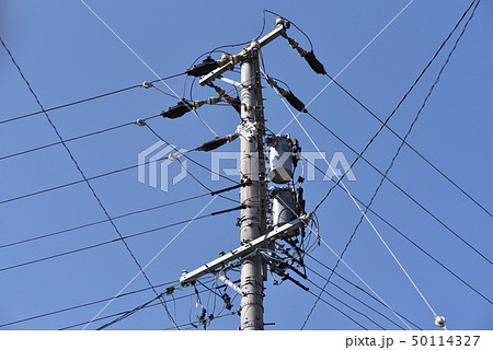 電柱 50114327