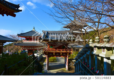 壺阪寺　西国三十三所第六番札所 50114883