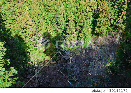 壺阪寺 壺坂霊験記 壺阪寺 壺坂霊験記 50115172