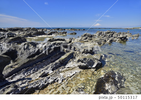 神奈川県三浦半島 【春】 天神島から富士山 50115317