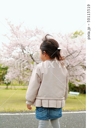 桜を見ている女の子の後ろ姿の写真素材