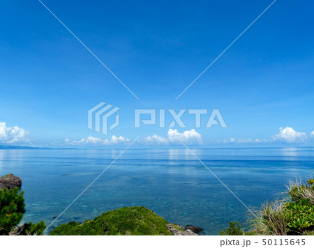 ベタ凪の海 50115645