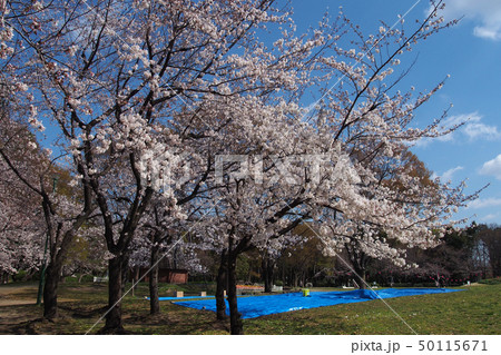 名古屋城点景 50115671