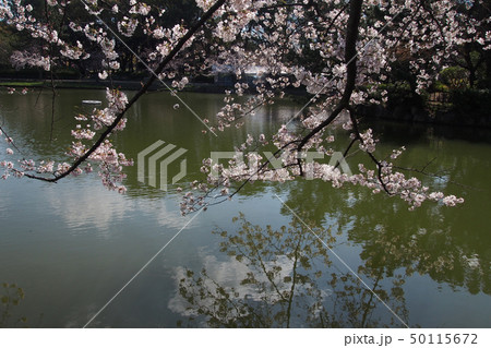 名古屋城点景 50115672