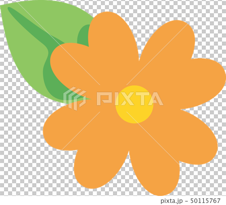 Orange flowers Orange flowers 50115767
