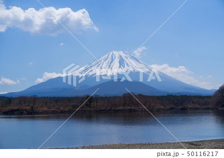精進湖と富士山 50116217