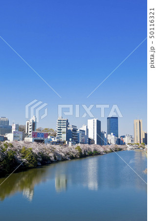 【東京都】外濠公園の桜 【東京都】外濠公園の桜 50116321