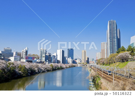 【東京都】外濠公園の桜 50116322
