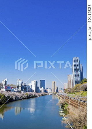 【東京都】外濠公園の桜 【東京都】外濠公園の桜 50116328