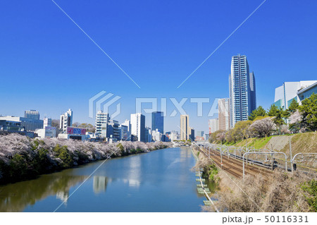 【東京都】外濠公園の桜 【東京都】外濠公園の桜 50116331