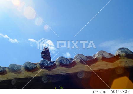 竹富島 50116385