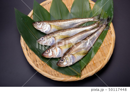 ハタハタ　鰰 50117448