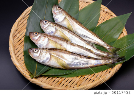 ハタハタ 鰰 ハタハタ 鰰 50117452