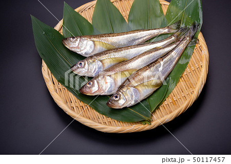 ハタハタ 鰰 ハタハタ 鰰 50117457