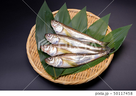 ハタハタ 鰰 ハタハタ 鰰 50117458