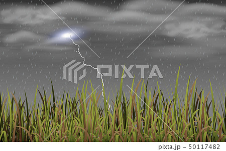 landscape of meadow in the rain day landscape of meadow in the rain day 50117482