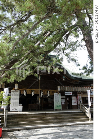 白山神社 本殿 新潟 50117497