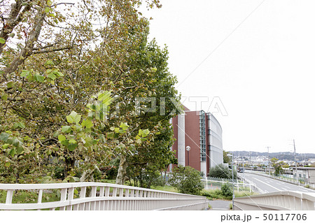 関東学院大学 50117706