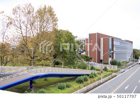 関東学院大学 関東学院大学 50117707