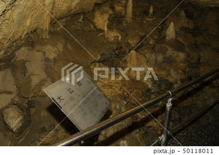 【静岡県】竜ヶ岩洞 50118011