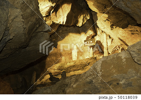 【静岡県】竜ヶ岩洞 50118039