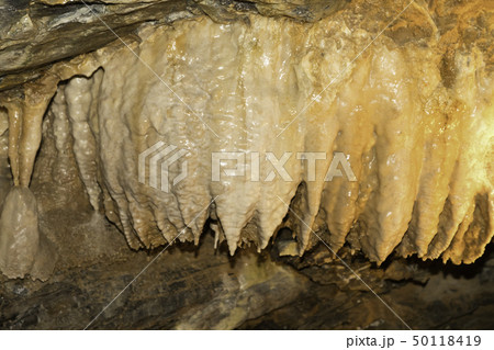 【静岡県】竜ヶ岩洞 50118419