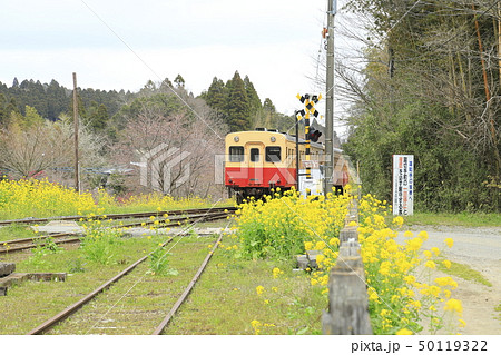 春の小湊鉄道 里見駅の写真素材