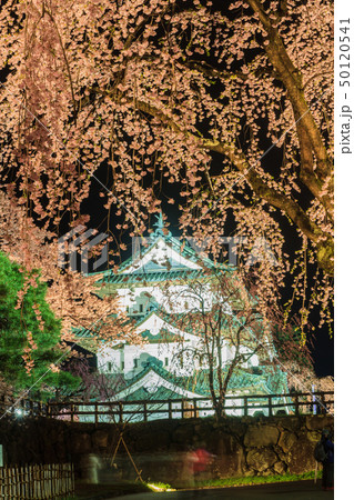 春のライトアップされた移転した弘前城の天守の風景 50120541