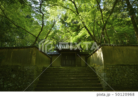 井山宝福寺 井山宝福寺 50120968