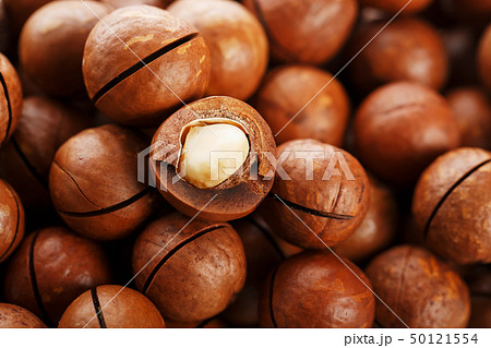 Texture of organic macadamia nut fresh natural Texture of organic macadamia nut fresh natural 50121554