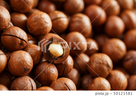 Texture of organic macadamia nut fresh natural Texture of organic macadamia nut fresh natural 50121581